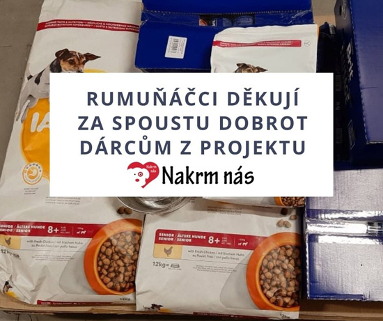 Heart for romanian dogs 19.10